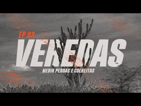 Veredas | “Medir perdas e colheitas” 3 de 8 | Marcos Apolônio
